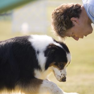 VetCare Digestive Enzymes